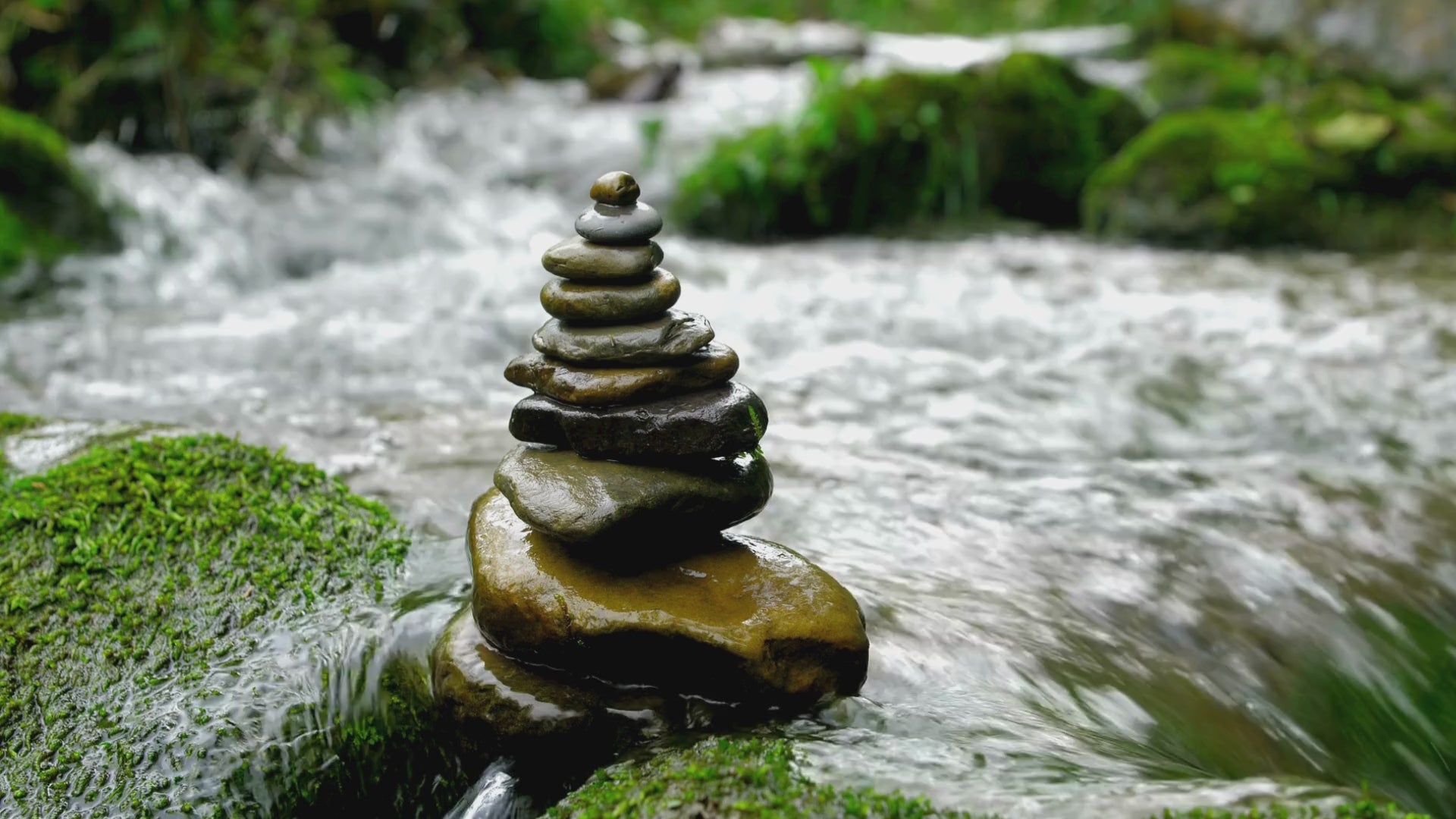 Charger la vidéo : 